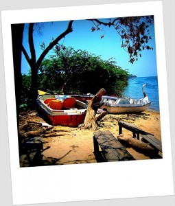 Boats on the beach