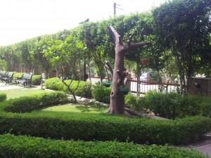 20120520_100517