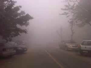 Foggy day 1