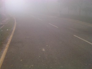 foggy day 22