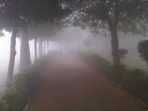 foggy day 3